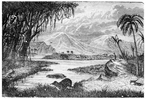 Landscape of the Miocene period in France, vintage engraved illustration. Earth before man – 1886.