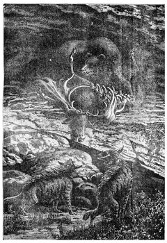 Contemporaries of primitive man: the cave bear, vintage engraved illustration. Earth before man – 1886.