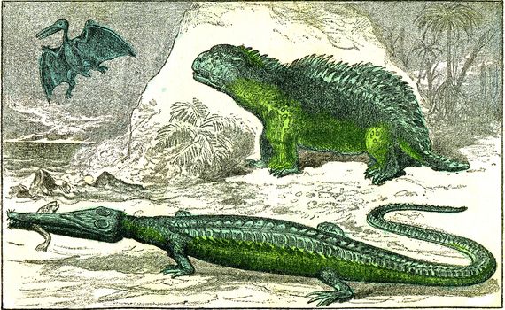 The Teleosaurus and the hylaeosaurus of the Jurassic period, vintage engraved illustration. From Natural Creation and Living Beings.
