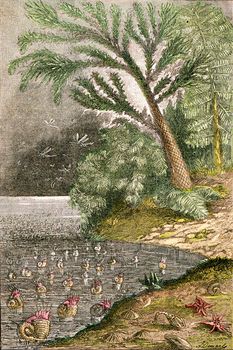 Ideal landscape of the early Jurassic times, vintage engraved illustration. From Natural Creation and Living Beings.
