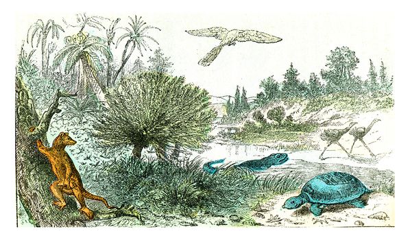 Ideal landscape of the Cretaceous period, vintage engraved illustration. From Natural Creation and Living Beings.
