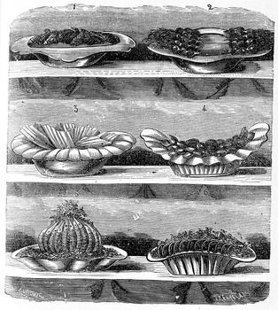Appetizers, vintage engraved illustration.
