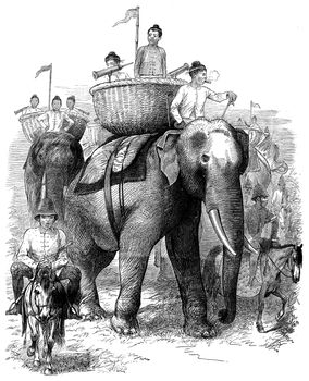 Elephants Burmah. These animals are advancing majestically, vintage engraved illustration. Journal des Voyages, Travel Journal, (1879-80).