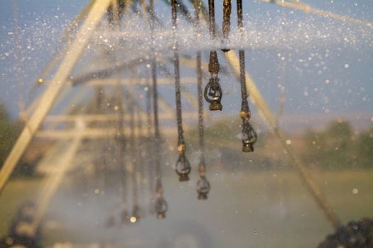spray of water coming off an irrigation sprinkler