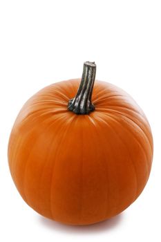 One perfect orange pumpkin isolated on white background , Halloween concept