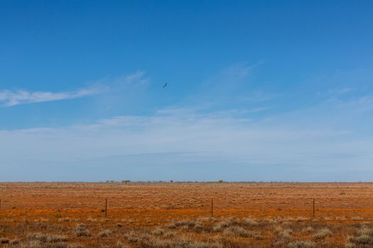 Australian outback a harsh desolate and dry area with red soils rich in iron.  Birds of prey are constantly circling the skies for animals that have perished.  Plenty of copy space