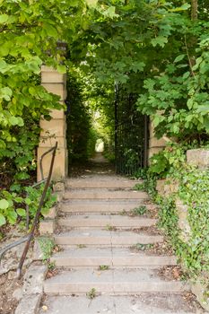 Stone staircase leading to a long, covered driveway in a green park