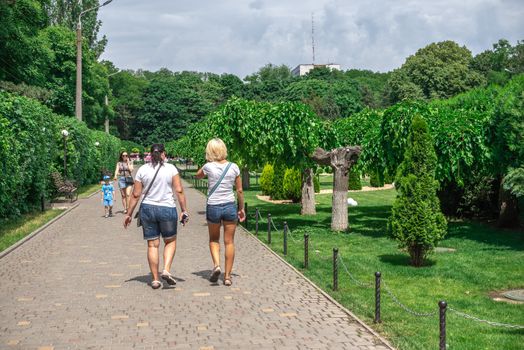 Odessa, Ukraine - 06.09.2019. Alleys in Gorky Park in Odessa, Ukraine, on a sunny summer day