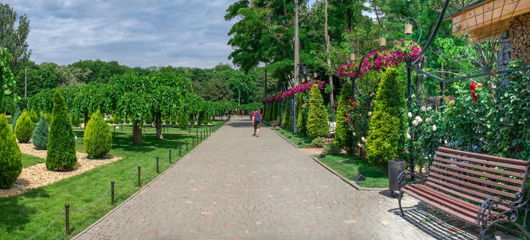 Odessa, Ukraine - 06.09.2019. Alleys in Gorky Park in Odessa, Ukraine, on a sunny summer day