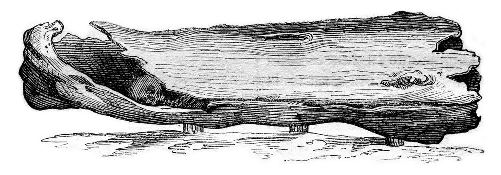 Anglo-Saxon coffin is Solby Yorkshire 1834-1857, vintage engraved illustration. Magasin Pittoresque 1861.
