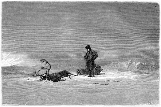 1866 Painting in a Salon called "Winter in Lapland", showing a traveller looking over his dead reindeer, vintage engraved illustration. Magasin Pittoresque - 1867