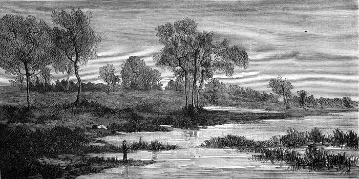 Landscapes by Fritz Van de Kerchove, vintage engraved illustration. Magasin Pittoresque 1876.
