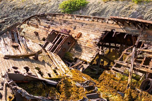 A large wrecked ship lies on its side on the seashore. Rust Peeps through the skeleton of the ship, plants sprout through the old tree