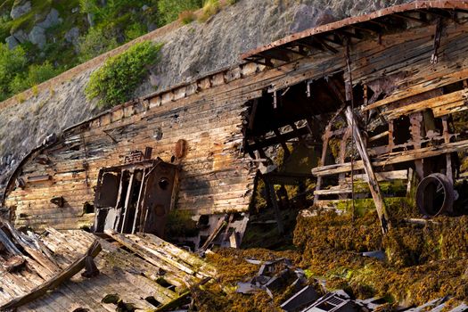 A large wrecked ship lies on its side on the seashore. Rust Peeps through the skeleton of the ship, plants sprout through the old tree