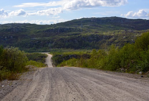 Empty road in the tundra. Fluffy trees and shrubs surround the tranquil rural road. Murmansk region.