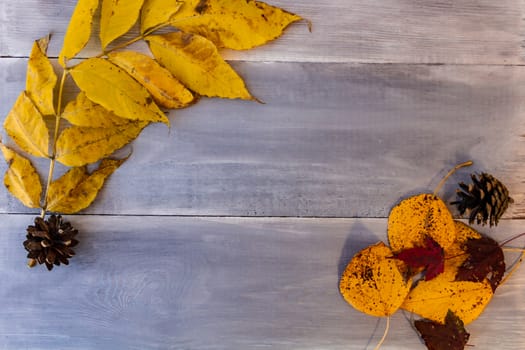 Red, yellow, orange autumn leaves, as well as berries and cones lie on wooden boards. Background image.