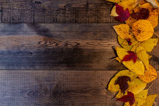 Red, yellow, orange autumn leaves, as well as berries and cones lie on wooden boards. Background image.