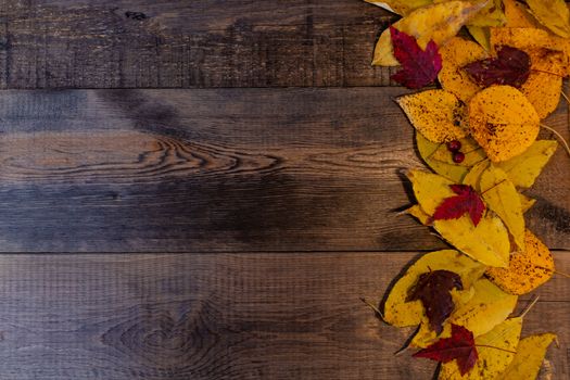 Red, yellow, orange autumn leaves, as well as berries and cones lie on wooden boards. Background image.