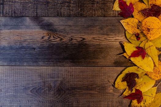 Red, yellow, orange autumn leaves, as well as berries and cones lie on wooden boards. Background image.