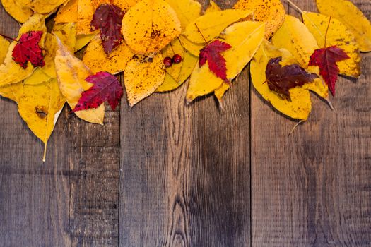 Red, yellow, orange autumn leaves, as well as berries and cones lie on wooden boards. Background image.