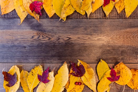 Red, yellow, orange autumn leaves, as well as berries and cones lie on wooden boards. Background image.