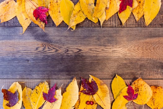 Red, yellow, orange autumn leaves, as well as berries and cones lie on wooden boards. Background image.