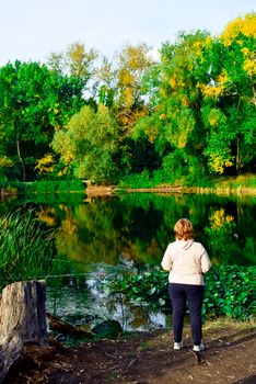 people look at nature-plants, rivers and lakes, birds