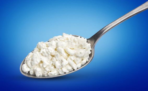 Cottage cheese in metal spoon isolated on blue background