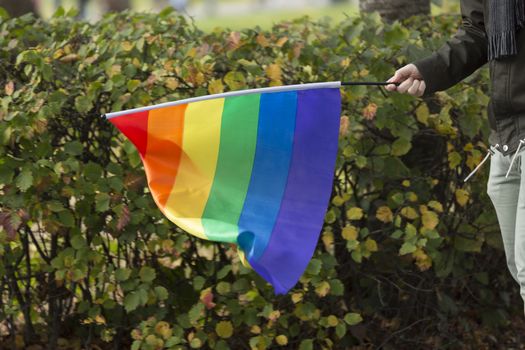 Person Carrying Rainbow Flag.