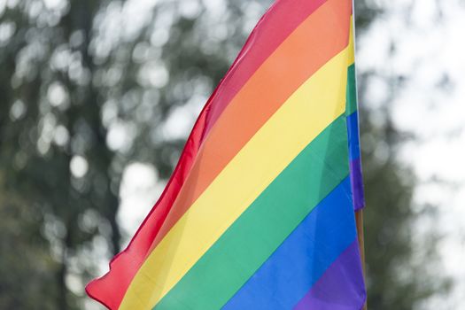 Rainbow Flag waving in the wind.