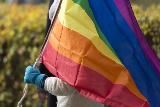 Person Carrying Rainbow Flag.