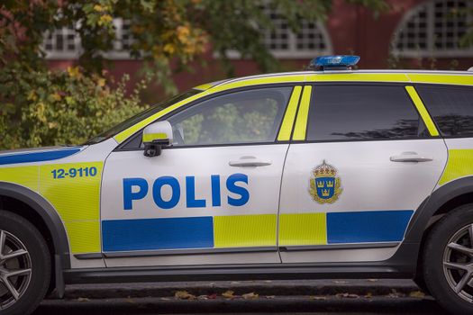 Swedish Police Car Parked with autumn leaves.