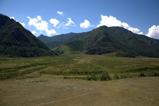 Field sown with grass spread in the valley between the mountains. Altai, Siberia, Russia.