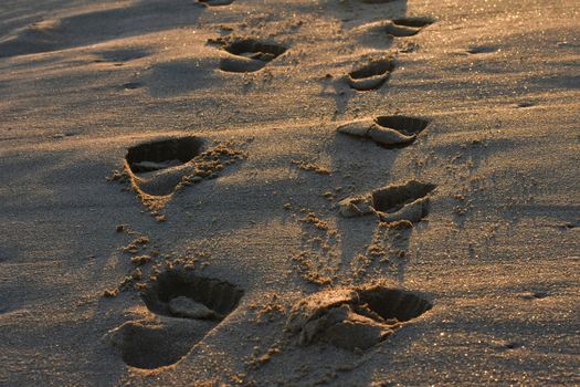 Footprints of a parent and child on beach sand at sunset, Mossel Bay, South Africa