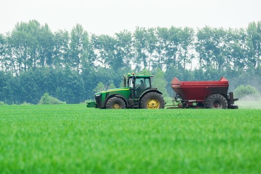 Tractor in the field mows the green grass