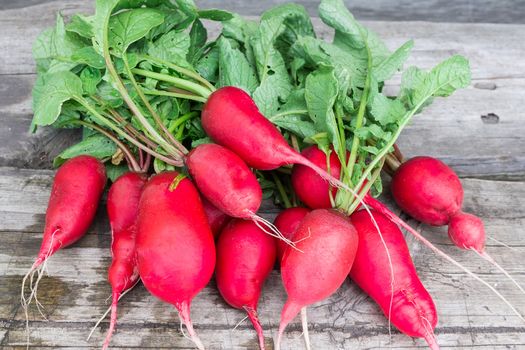 Fresh radishes on a wooden background, vegetables