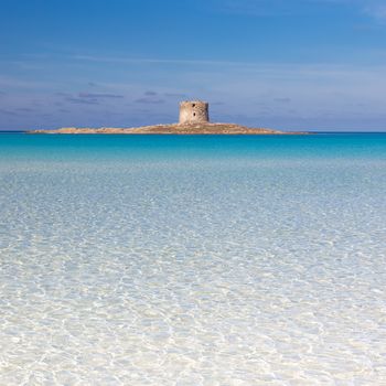 Beautiful turquoise blue mediterranean Pelosa beach near Stintino,Sardinia, Italy. Copy space.