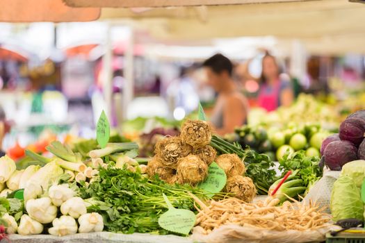 Farmers' market stall with variety of organic vegetable.