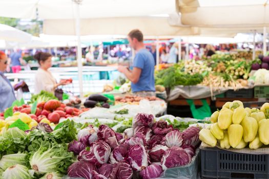 Market stall with variety of organic vegetable.