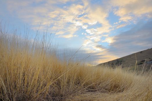 Sunrise and yellow grass on the top of the mountain