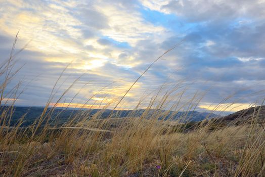 Sunrise and yellow grass on the top of the mountain