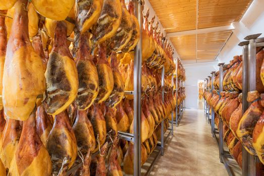 Spanish ham cellar. Food industry