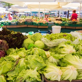 Market stall with variety of organic vegetable.