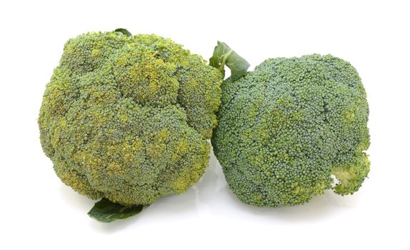 Two heads of calabrese broccoli in comparison - beginning to perish and fresh - on a white background