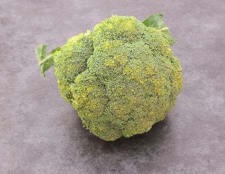 Head of calabrese broccoli beginning to spoil with yellowing florets, on a grey background