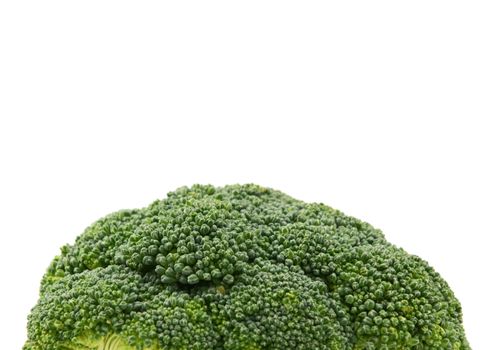 Close-up of a fresh green head of calabrese broccoli with copy space on a white background