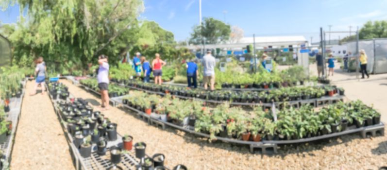 Panorama view abstract blurred customers shopping for wide varieties of yard plants at plant sale event in Dallas, Texas, America. Garden with green house show and tour