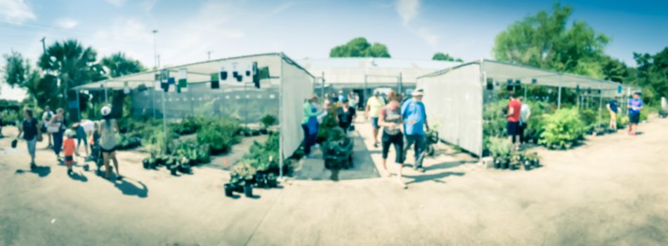 Panorama view abstract blurred customers shopping for wide varieties of yard plants at plant sale event in Dallas, Texas, America. Garden with green house show and tour