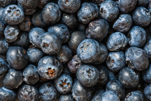 Ripe and Healthy Blueberries Close Up Horizontal Background.