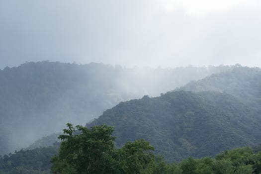 top view of forest in thailand and blue sky. some  areas is change ground to agriculture